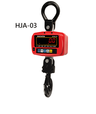 Crane Scale 300kg~2tons