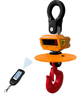 Crane Scle 1.5~50tons